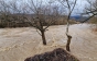 Вода підійшла до будинків та затопила дороги і поля: Наслідки паводку на Закарпатті (ФОТО, ВІДЕО)